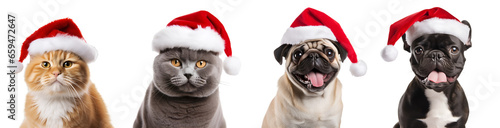 Merry Christmas web poster showcasing dogs and cats in Santa Claus hats, ideal for pet shops and social media on transparent background, png - Generative AI photo