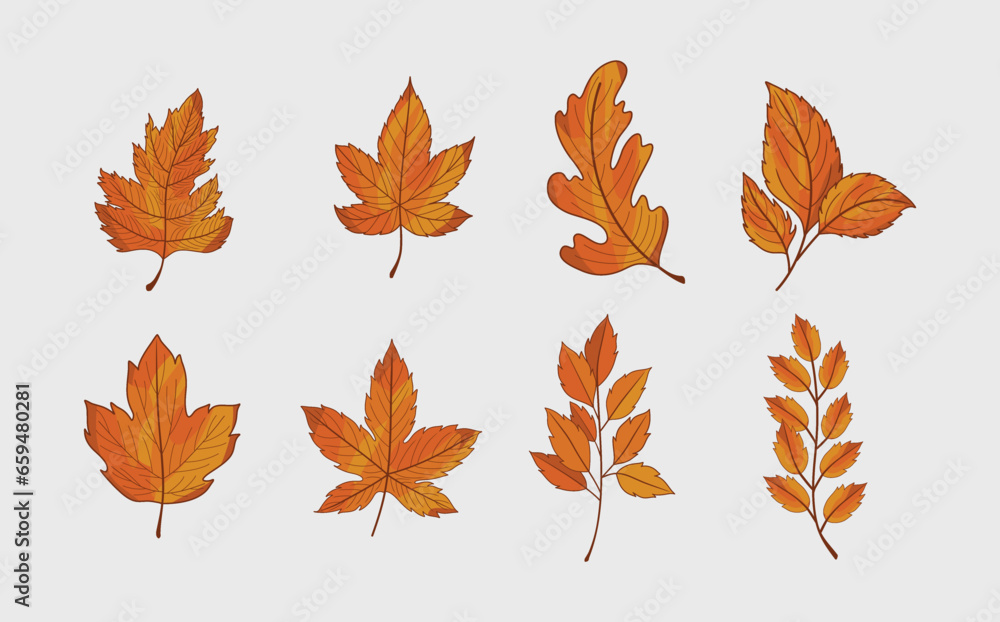 Set of Autumn Leaves. Set of Autumn Leaves.