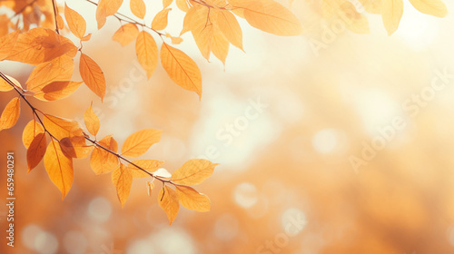 autumn leaves blur background  copy space area 