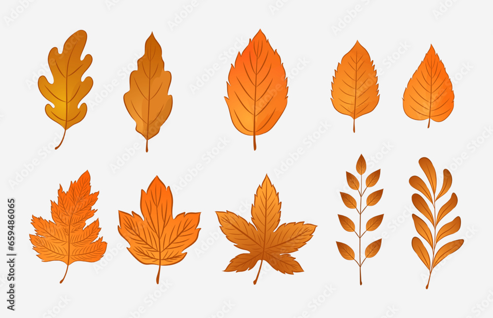Set of Gradient Autumn Leaves. Set of Gradient Autumn Leaves.