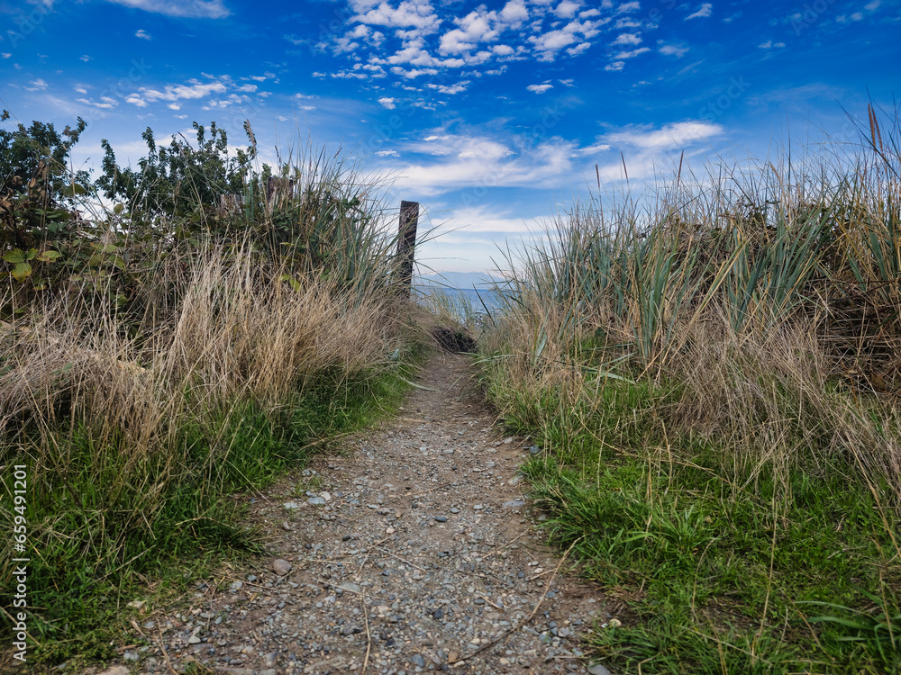 Path leading out to a beach Path leading out to a beach