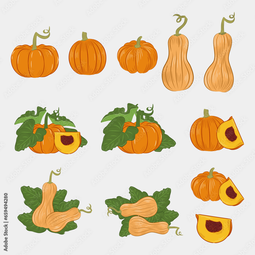 Set of fresh pumpkin. Set of fresh pumpkin.