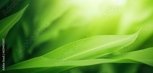 Background of green nature leaf in garden at spring summer seasons. Generative AI