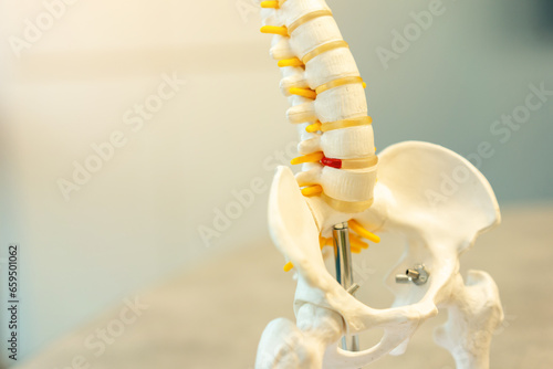 close up  on cervical spine of human skeleton at lower back and sacrum bone at doctor's clinic room for treatment and healthcare concept