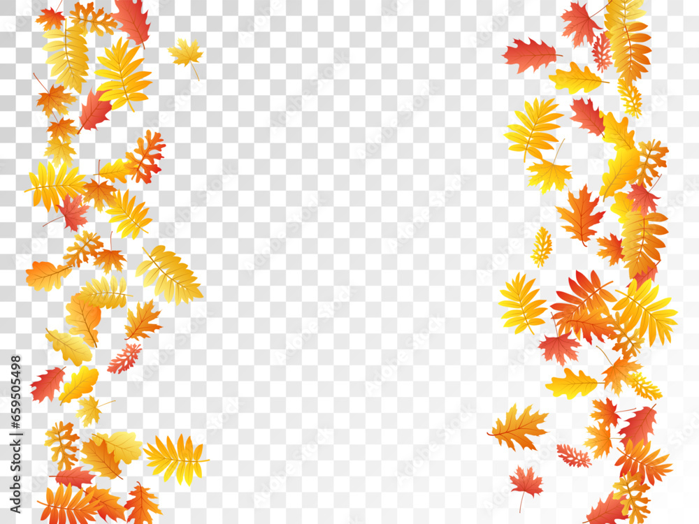 Oak, maple, wild ash rowan leaves vector, autumn foliage on transparent background. Oak, maple, wild ash rowan leaves vector, autumn foliage on transparent background.