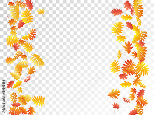 Oak, maple, wild ash rowan leaves vector, autumn foliage on transparent background.