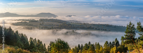 Misty mountain forest landscape in the morning, Pieniny mountains,  Little Poland photo
