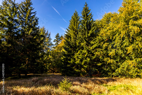 Wundersch  ne Herbstwanderung durch das Fichtelgebirge im oberfr  nkischen Bischofsgr  n - Bayern - Deutschland