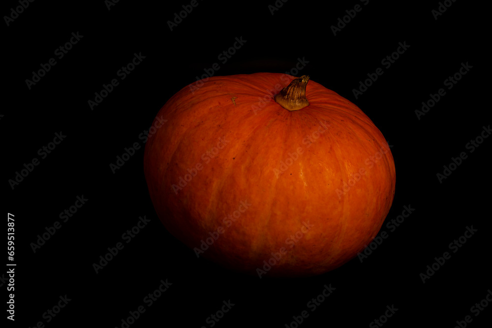 Round orange pumpkin isolated on black background. Pumpkin in the dark. Halloween concept. Round orange pumpkin isolated on black background. Pumpkin in the dark. Halloween concept.