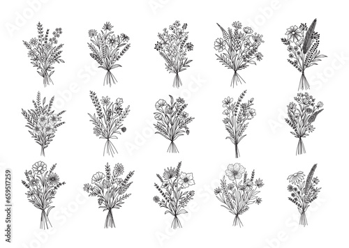 Set of flower bouquet vector. Hand drawn flower. Wildflower line art bouquets set, wild plant, botanical vector illustration