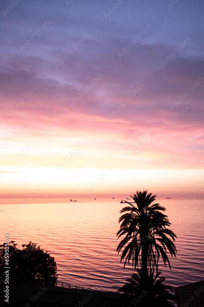 Scenic view of silhouettes houses near palm trees and sea against cloudy sundown sky in Tarragona, Spain