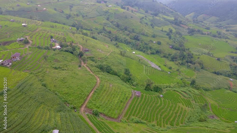 Terraced Rice Field in Chiangmai, Thailand, Pa Pong Piang rice paddy terraces Terraced Rice Field in Chiangmai, Thailand, Pa Pong Piang rice paddy terraces
