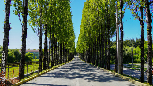 Universidad Austral Valdivia