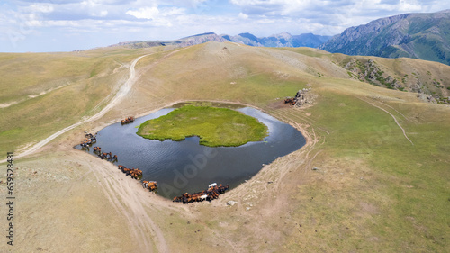 фотографія A herd of horses in the mountains near a watering hole