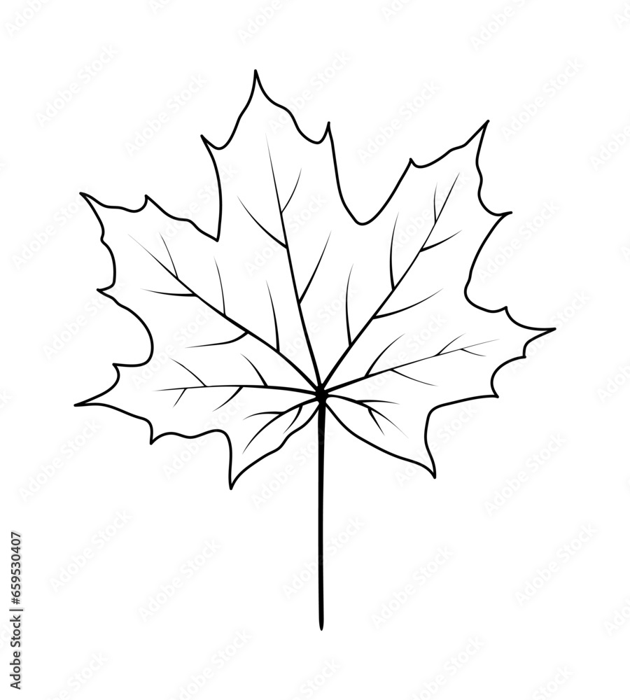 Naklejka premium Autumn Maple Leaf