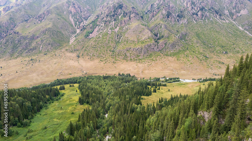 View of the river in a green gorge among the rocks. Tall coniferous trees grow on cliffs and hills. A rushing river is running. High mountains. Top view from a drone. There are paths in places