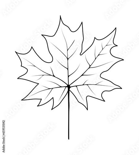 Autumn Maple Leaf