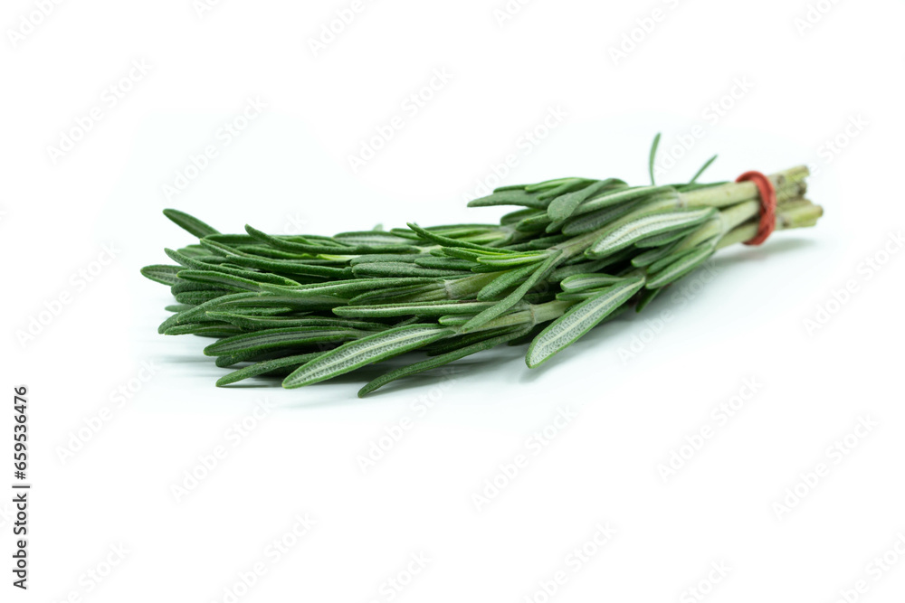 fresh rosemary isolated on white background fresh rosemary isolated on white background