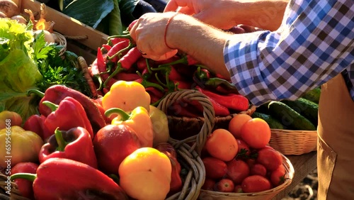 The farmer sells fruits and vegetables at the farmers market. Selective focus.