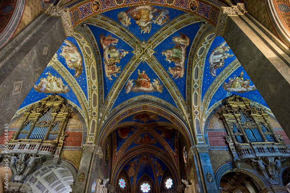 The ceiling of Santa Maria sopra Minerva gothic styled church in Rome, Italy