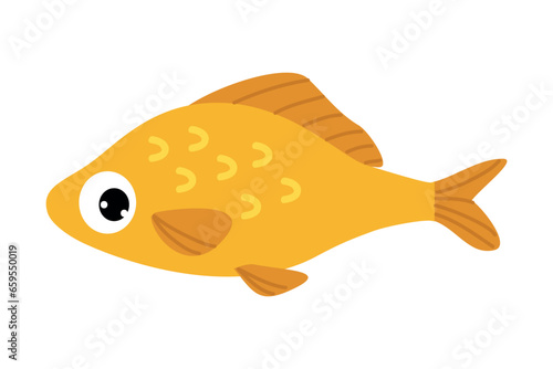 Sea and Freshwater Fish with Fins Swimming Vector Illustration