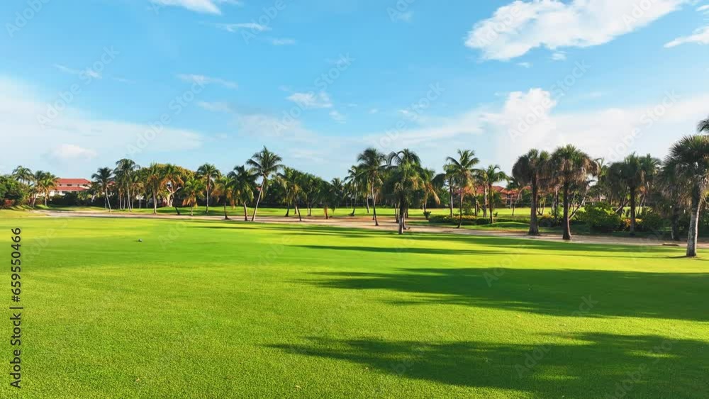 Natural sports background in Dominican Republic. Nature of the Caribbean island. Green grass on a golf course with palms. Landscape of a beautiful green golf field with sky. Natural sports background in Dominican Republic. Nature of the Caribbean island. Green grass on a golf course with palms. Landscape of a beautiful green golf field with sky.