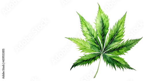 Cannabis leaf isolated on white background. Watercolor illustration. Banner with copy space for text. Medical marijuana concept.