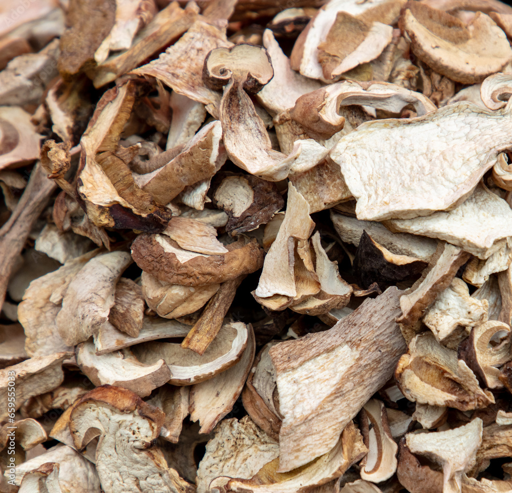 Dried porcini mushrooms as a background. Close-up