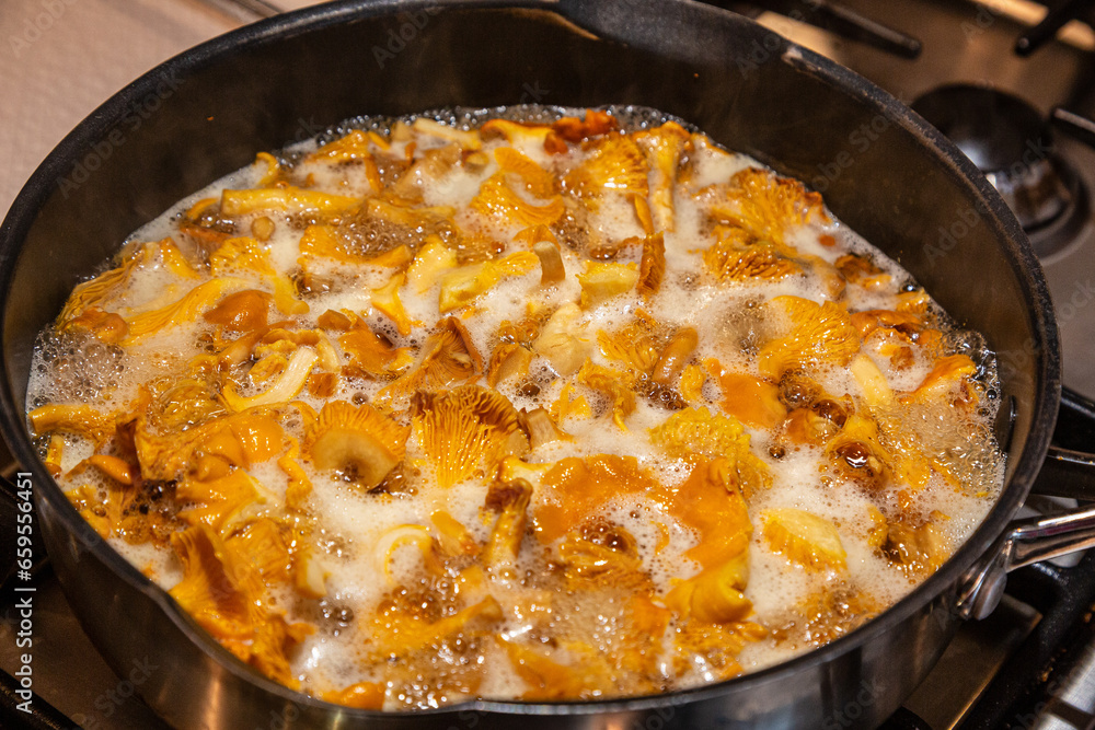 Freshly picked chanterelles are prepared for cooking Freshly picked chanterelles are prepared for cooking