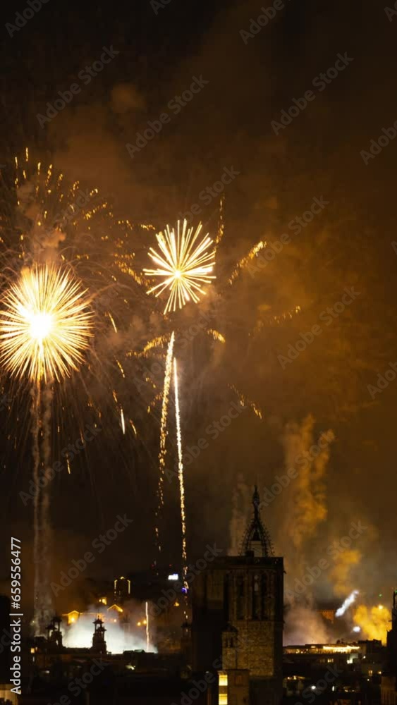 Fireworks over barcelona vertical
