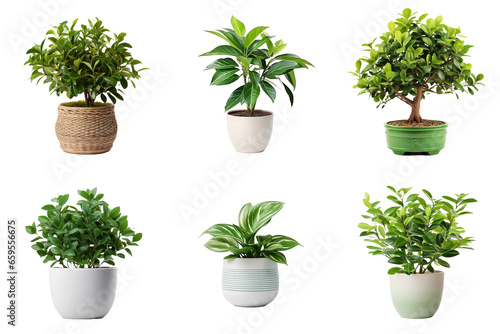 Six set potted interior plants over transparent background. Generative AI.
