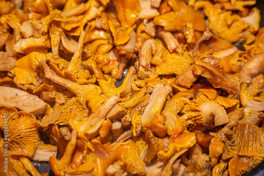 Freshly picked chanterelles are prepared for cooking Freshly picked chanterelles are prepared for cooking