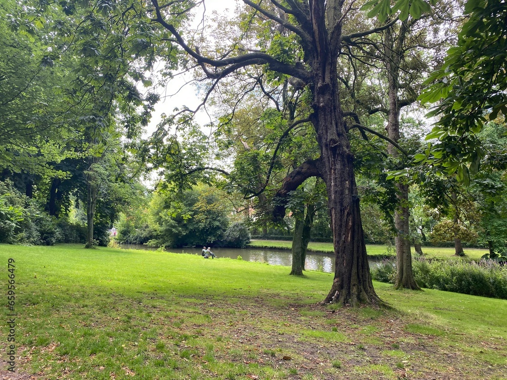 quiet, green trees and woodland with a river passing through, meditation area, yoga area