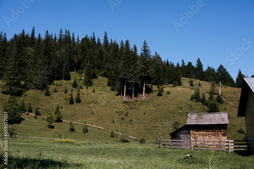 Ukraine Carpathians mountain forest river sun clouds beauty