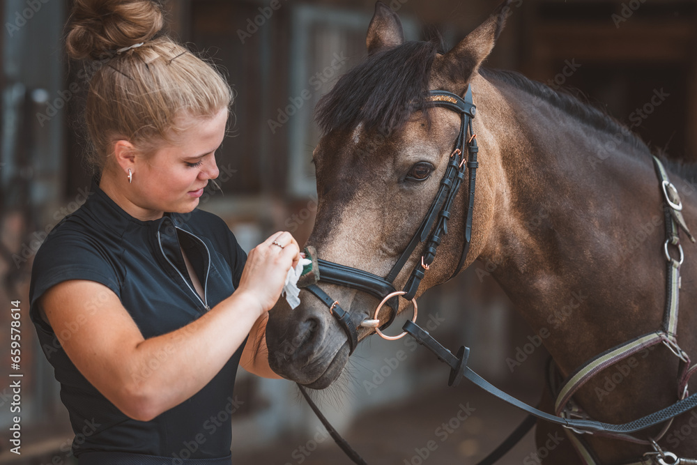 Obraz premium Reiterin mit Pferd