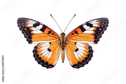 butterfly isolated on white, Generative with AI