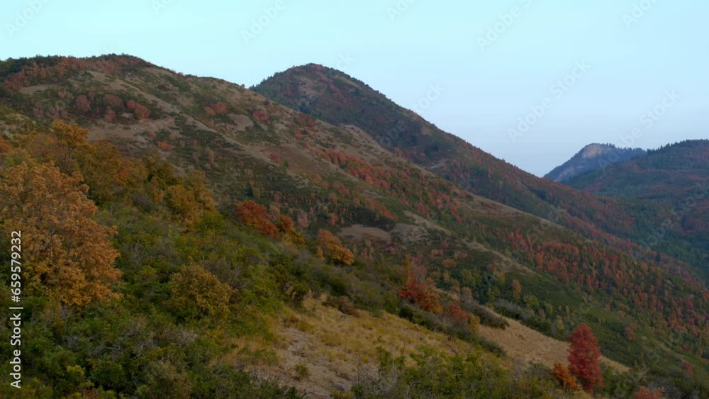 Fall Leaves On Rocky Mountain - epic drone shot Fall Leaves On Rocky Mountain - epic drone shot