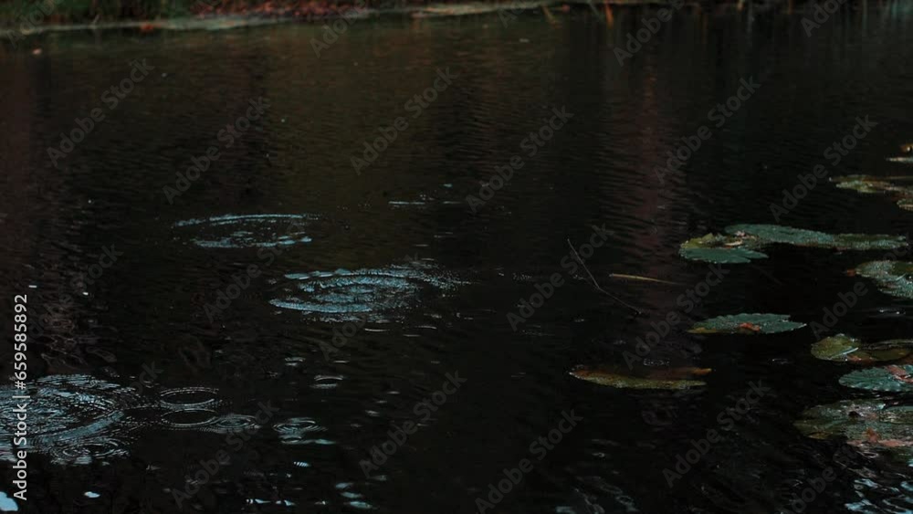 Lake water with waves. In motion. Lake water with waves. In motion.