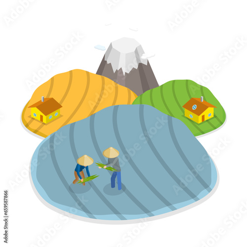 3D Isometric Flat Vector Illustration of Rice Farm, Asian Traditional Agriculture. Item 3