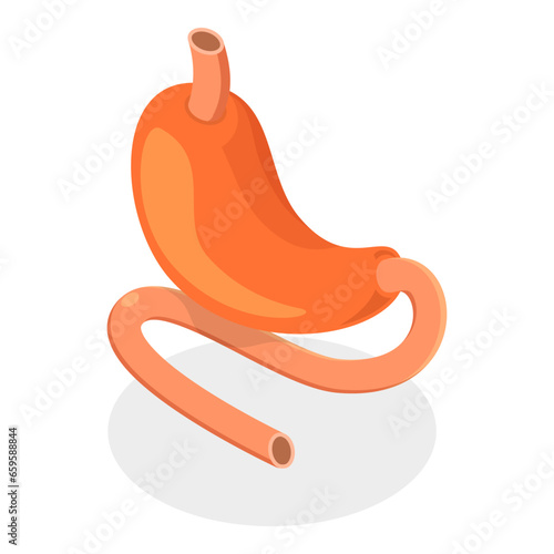 3D Isometric Flat Vector Illustration of Digestive System Anatomy, Human Internal Organs. Item 2