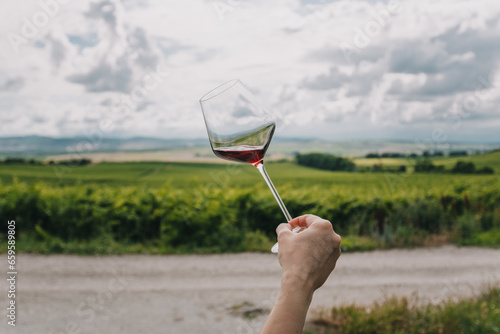 A woman's hand holds a glass of red wine, vineyards in the background. Landscape with a vineyard.