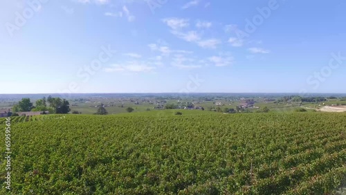 Saint-Emilion, 4K Aerial Views of Vineyards and Medieval Town, France photo