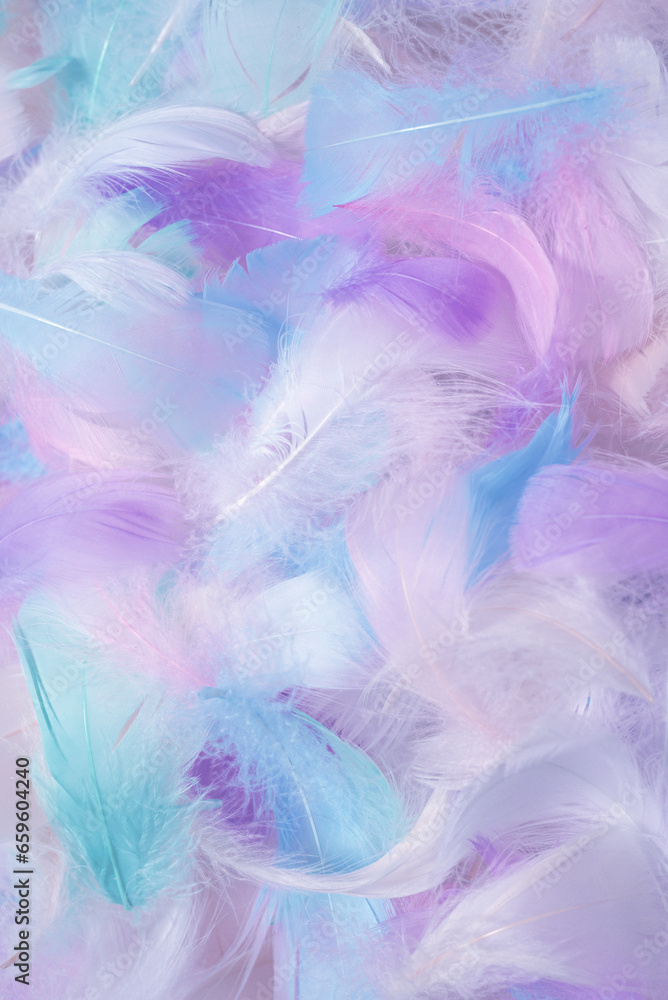Colorful feather background, top view. Colorful feather background, top view.