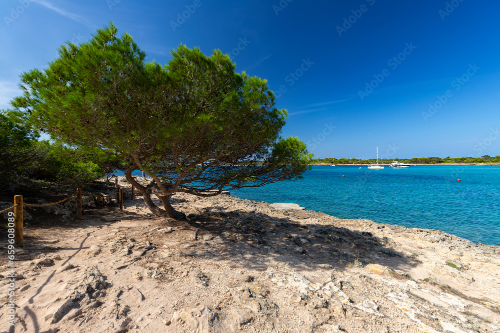 Krajobraz morski i widok na skaliste wybrzeże, pocztówka z podróży, urlop i zwiedzanie hiszpańskiej wyspy Menorca, Hiszpania - obrazy, fototapety, plakaty 