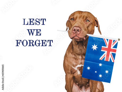 Lest We Forget. Lovable brown dog, Australian Flag and congratulatory inscription. Closeup, indoors. Studio shot. Congratulations for family, relatives, loved ones, friends and colleagues