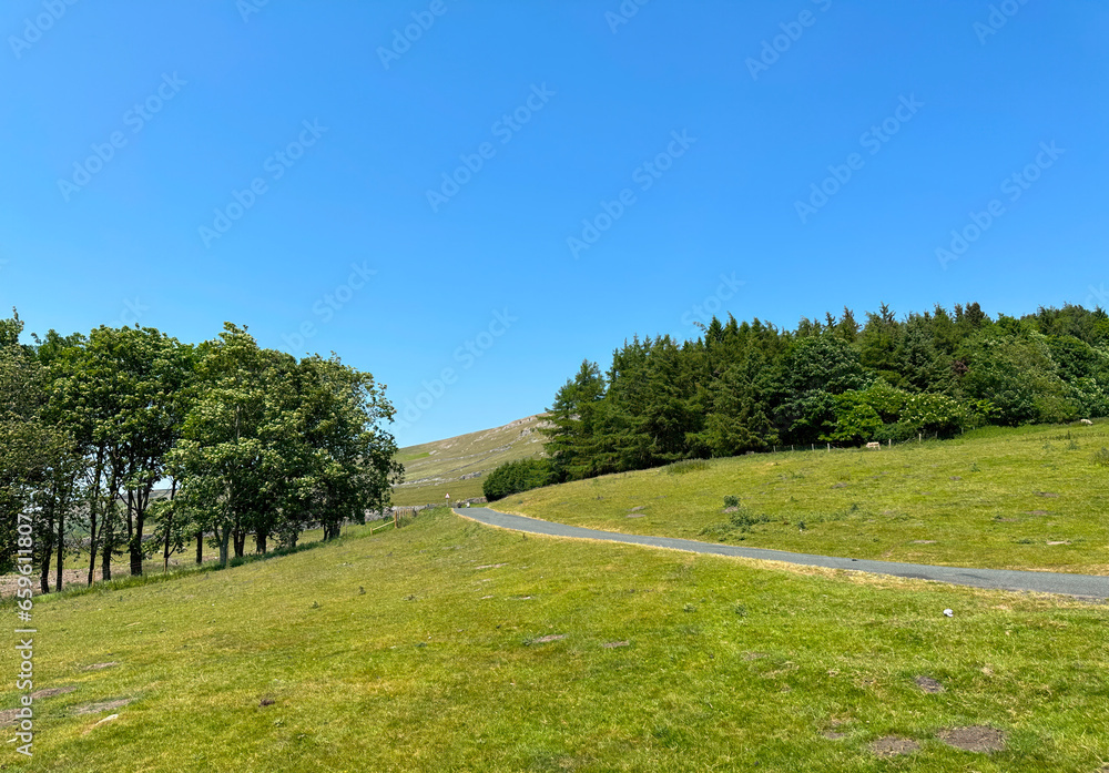 Rural landscape near Kilnsey, with a road leading toward Hawkswick, with old trees, and a blue sky in, Litton, UK