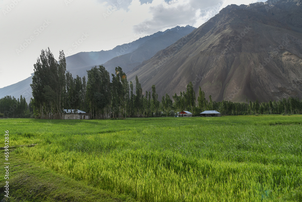 Phander Valley, Gilgit Pakistan 
