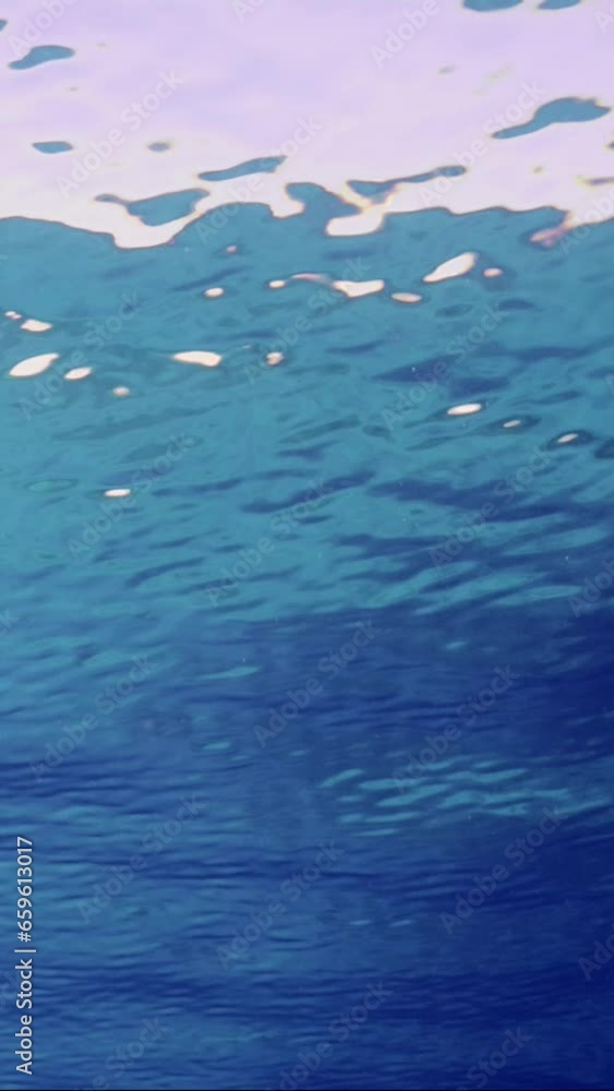 Vertical video, Natural blue water background, beautiful clear blue water surface. Underwater view of calm blue water surface. Small swell on surface of Ocean Vertical video, Natural blue water background, beautiful clear blue water surface. Underwater view of calm blue water surface. Small swell on surface of Ocean