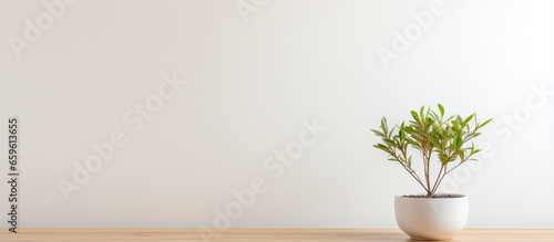 Wooden desk with potted tree on white wall space for text