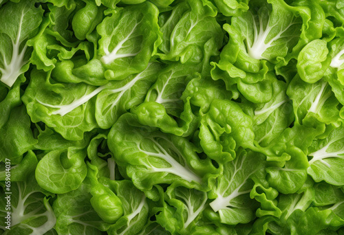 Fresh green lettuce background. Raw green salad texture  top view. Vegetarian meal horizontal banner. Fresh cabbage surface  close-up. Generated by AI